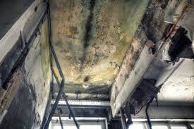 Best Residential Mold Inspection & Testing  in New Haven, WV